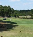 Pinehurst-P1000142