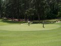 Pinehurst-_1010385