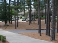 Pinehurst-_1010452